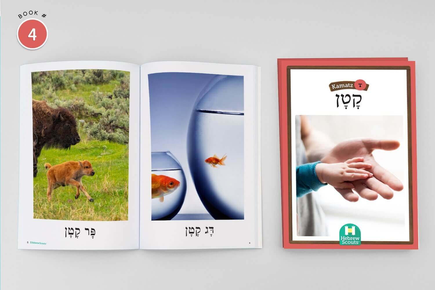 NQ Unit 1 Kamatz- Decodable Books - Image 4