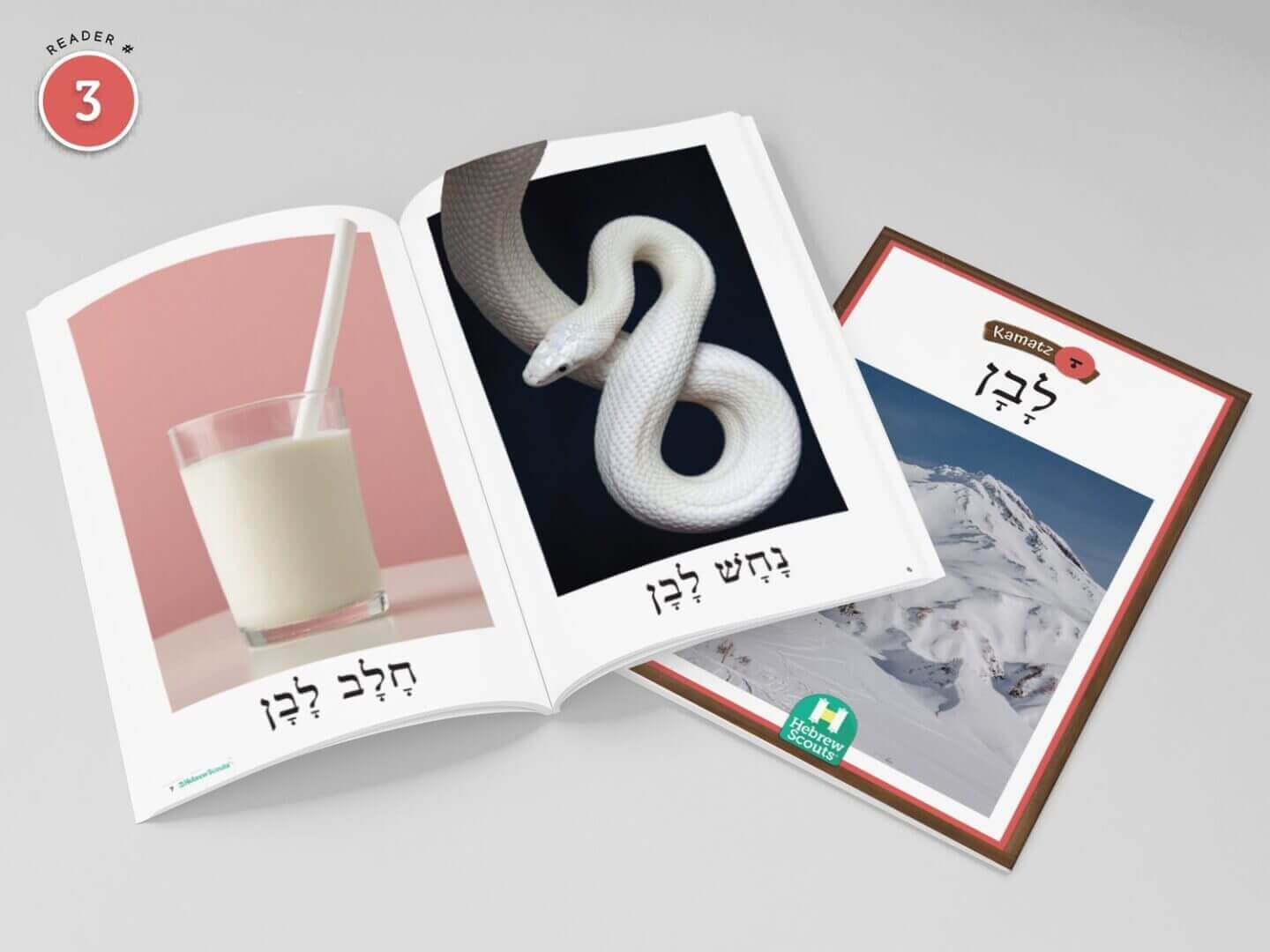 NQ Unit 1 Kamatz- Decodable Books - Image 5