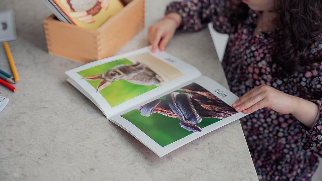 NQ Unit 1 Kamatz- Decodable Books - Image 8