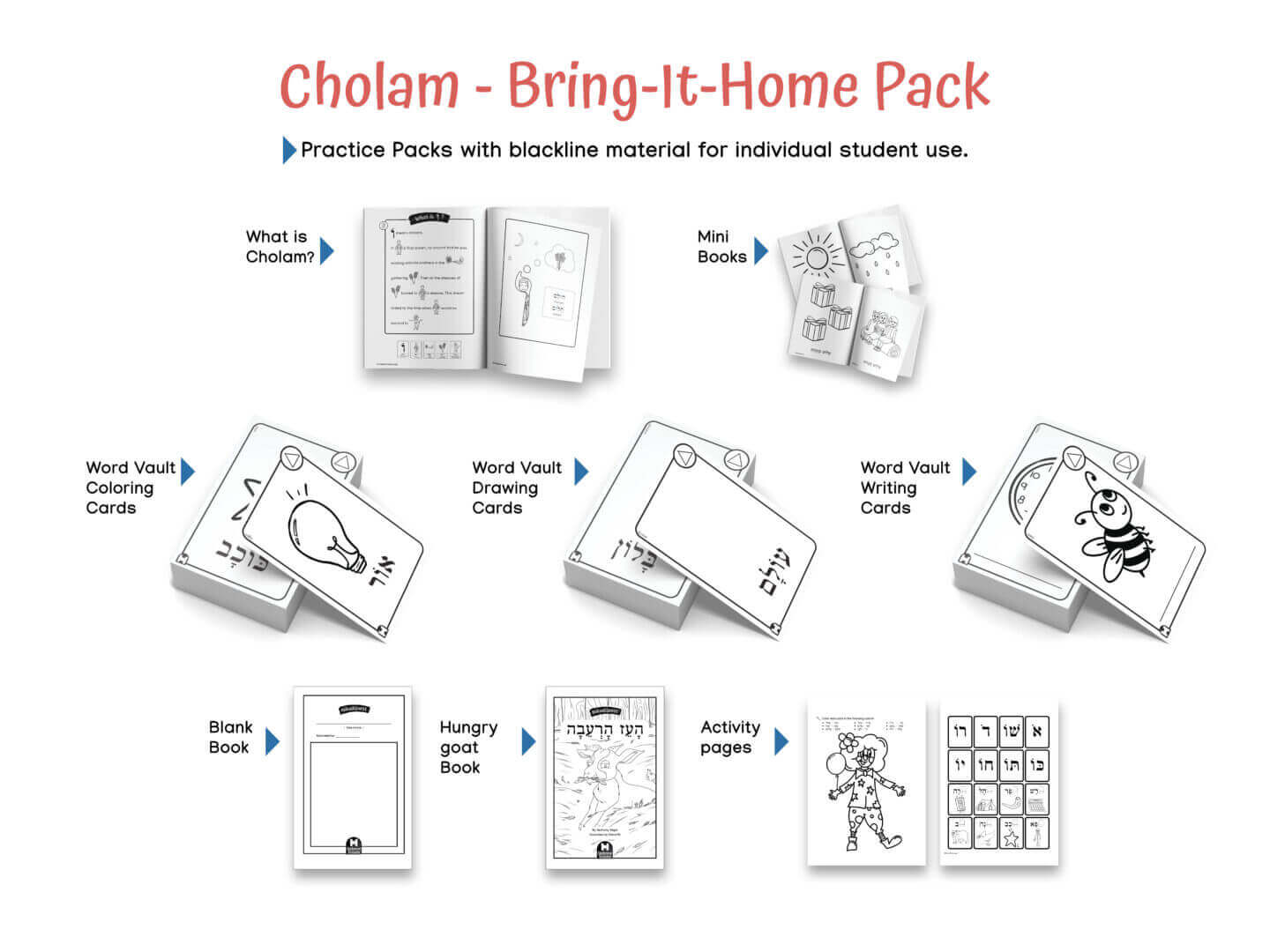 NQ Unit 6 Cholam Student Guidebook + Practice Pack x 10 - Image 8