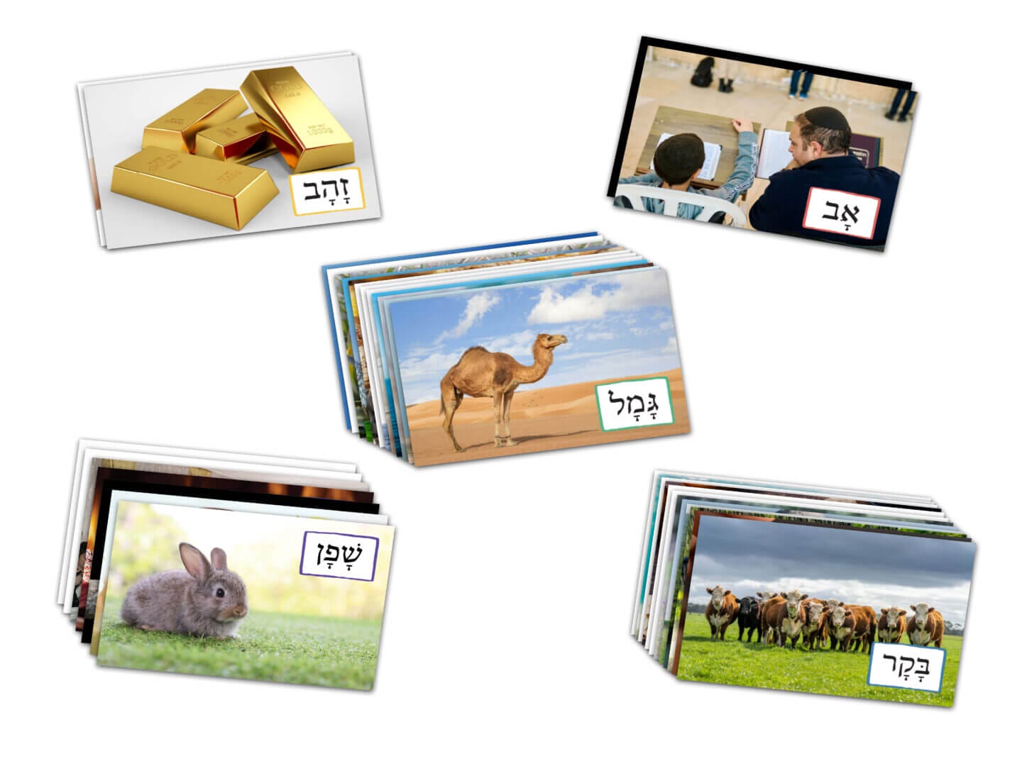 Kamatz Reading and Spelling Words for Alef Bet Learners (GEMS P, Q, R and S) - Image 2