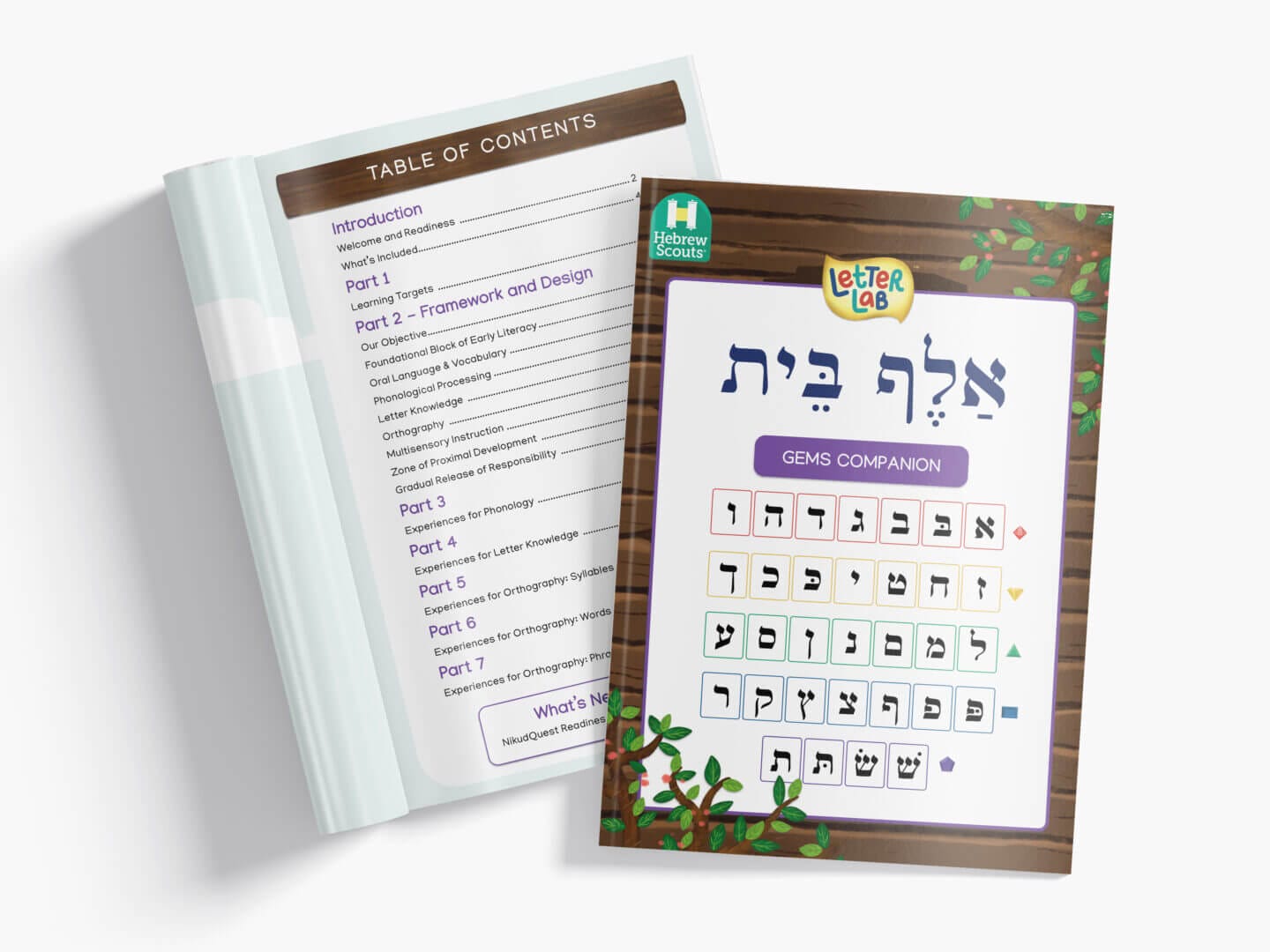 GEMS Educator's Companion for Alef Bet Games/ Centers/ Small Groups - Image 2