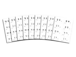 NQ Kriah Extensions: Vowel+ Letter = Syllable Cards, Units 1-8, Download